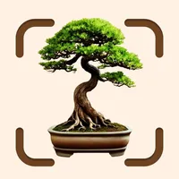 Tree Identifier Pro - ID Scan icon