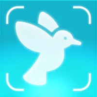 Bird Identifier AI: Birdie icon