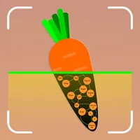 Food Calorie Tracker App icon