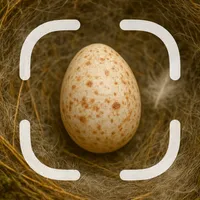 Egg Identifier icon
