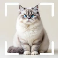 Cat Identifier - Pet scanner icon