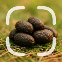 Droppings Identifier icon