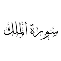 Surah Mulk Pro Reader icon