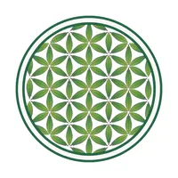 Life Flower Dispensary icon