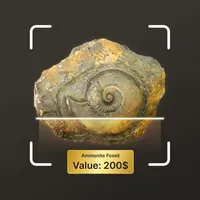 Fossil Identifier icon