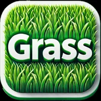 Learn Grass: Jam Companion icon