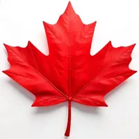 Made in Canada AI: Buy Local icon