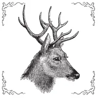 Perfume Advisor - Fragnatique icon