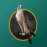 دروب اللغة العربية icon