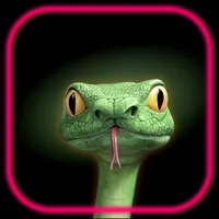 Snake Puzzle Game - Snakle icon
