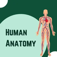 Human Anatomy And Body Parts icon