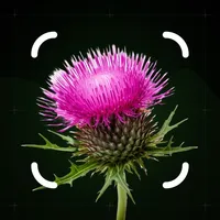 Weed Identifier: Leaf Identify icon