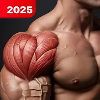 Shoulder Workout at Home icon