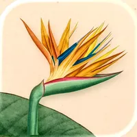 Art of Flora: Cozy Puzzles icon