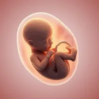 PregnancyTrack+ icon