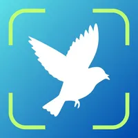 Bird Identifier - Birding ID icon