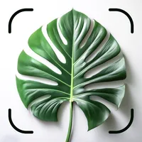 Plant ID: Identifier & Care icon