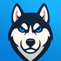 Husky VPN - Go Borderless icon