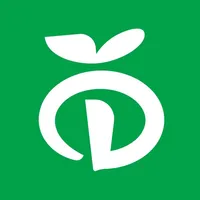 Домодедовский рынок icon