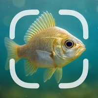 Identifier: Fish icon