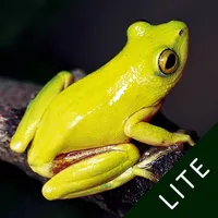 Frogs of Southern Africa LITE icon