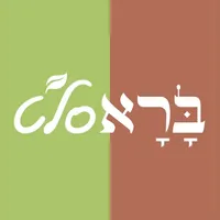 ברא סלט icon
