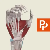 Primal's 3D Functional Anatomy icon