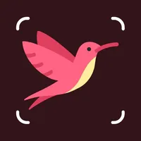 Identify Birds with AI icon