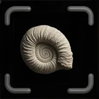 Fossil Identifier - FossilAI icon