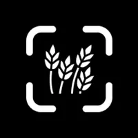 Gluten Free Scanner - NoGlut icon