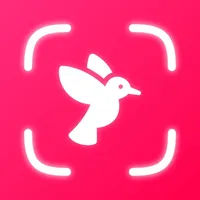 Bird Feather Identification ° icon