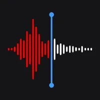 Voice Memos - Voice Recorderㅤ icon