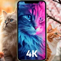 Cat Wallpapers - 4K icon