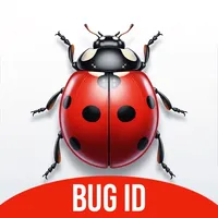 Zibby: Bug Identifier icon