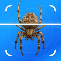Insect Identifier - BugFlow icon