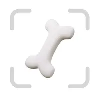 Bone Identifier: AI Scanner icon