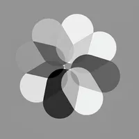 Snapsnob - Clean Your Gallery icon