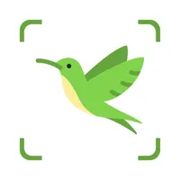 Bird Identifier: Kurdelyun icon
