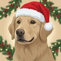 Vet Assistant & Dog Care・Zumy icon