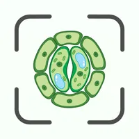 Biology AI: Homework Helper icon