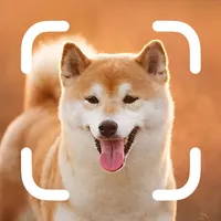 Dog Breed Identifier - Pet Pro icon