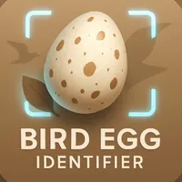 Bird Egg Identifier: AI Scan icon