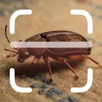 Bug Identifier: Scanner Insect icon