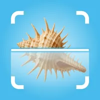 Sea Shell Identifier: Scan AI icon