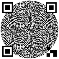 QR Coder icon