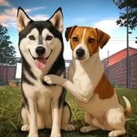 Animal Rescue Pet World Life icon