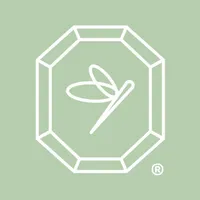 Summerfield Tea Bar icon