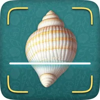 Sea Shell Identifier icon