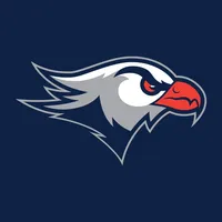 Lackawanna College Falcons icon