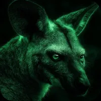 Night vision style camera icon